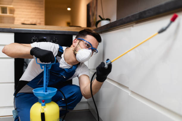 Best Cockroach Control Services  in Shinglehouse, PA