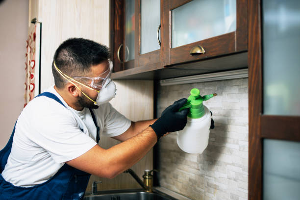 Best Rat Extermination Near Me  in Shinglehouse, PA