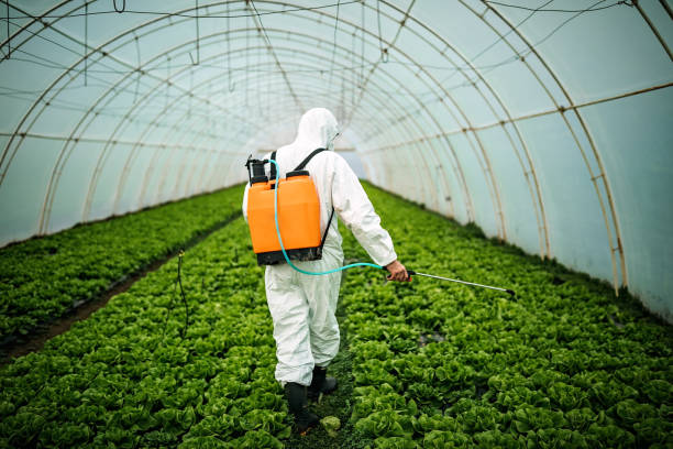 Best Pest Control for Restaurants  in Shinglehouse, PA