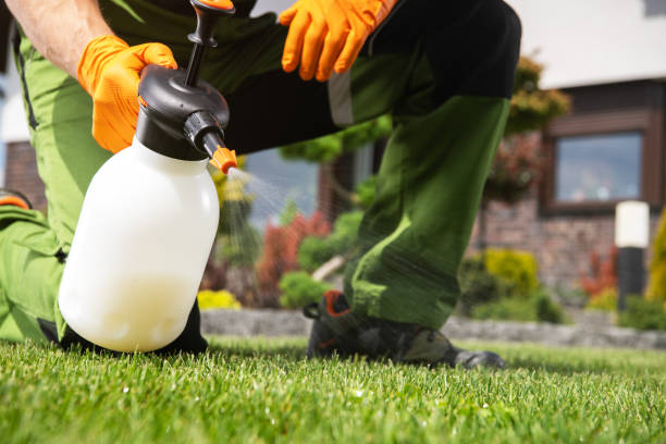 Professional Pest Control in Shinglehouse, PA