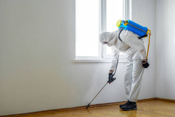 Pest Control for Restaurants in Shinglehouse, PA