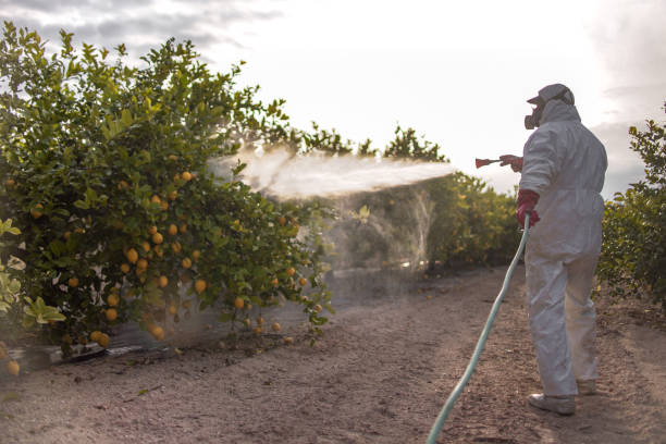 Best Pest Prevention Services  in Shinglehouse, PA
